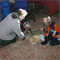 Pioneer_Christmas_2008_43