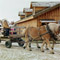 Pioneer_Christmas_2009_3