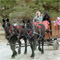 Pioneer_Christmas_2009_36