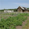 Stockade_Gallery_9